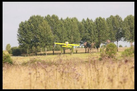 Air Show na nowotarskim lotnisku_100